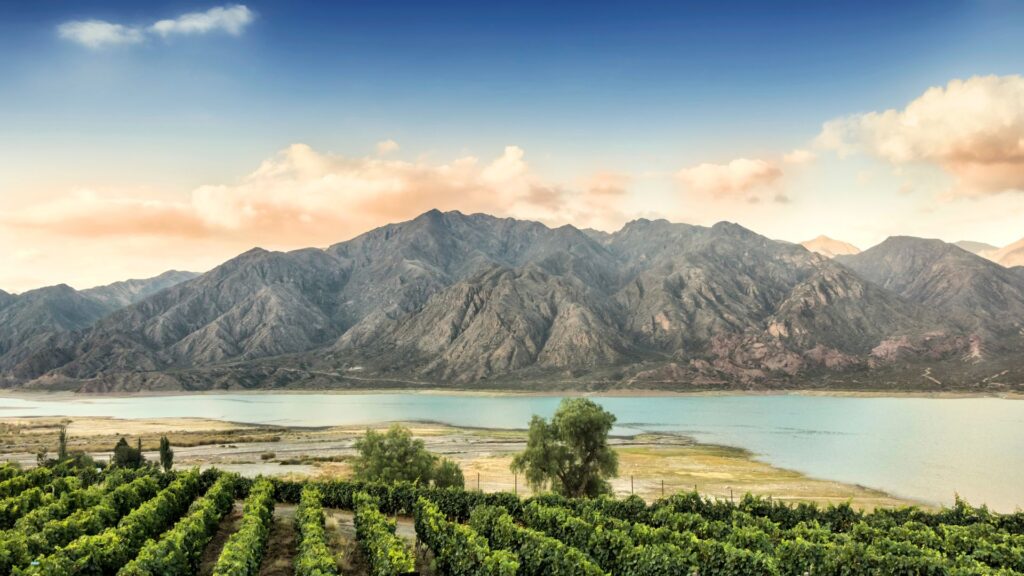 mendoza, vale do uco