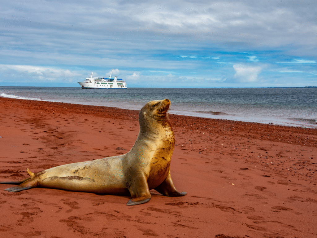 Galápagos Iate Isabela II