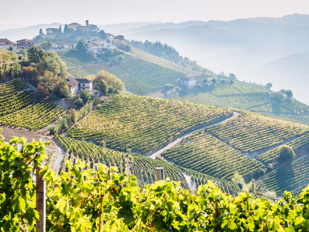 Piemonte Trufas Bike Tour