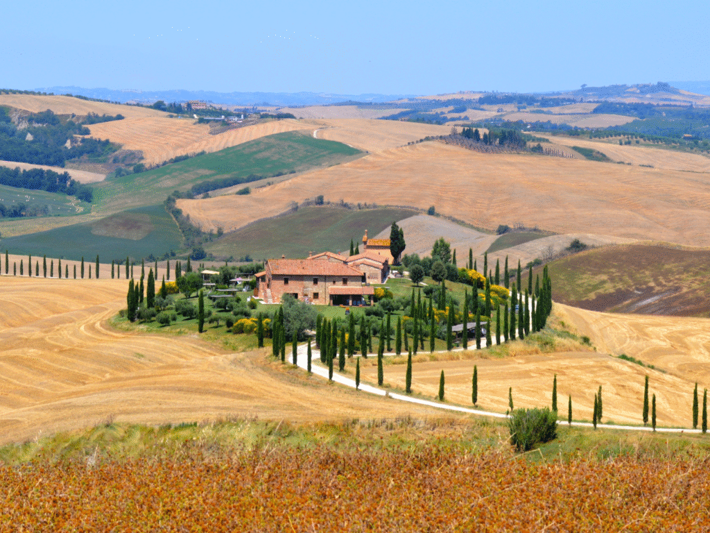 Toscana Colheita Bike Tour